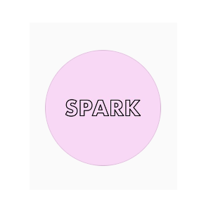 The Spark Company